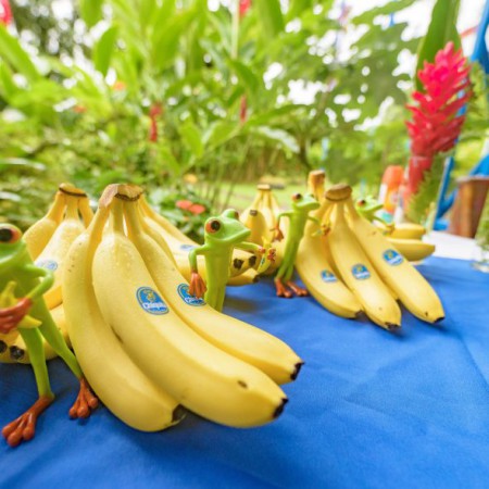 Regionsäljare för Chiquita - Stockholm SYD